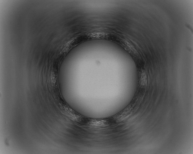 X0000097800569200803281038