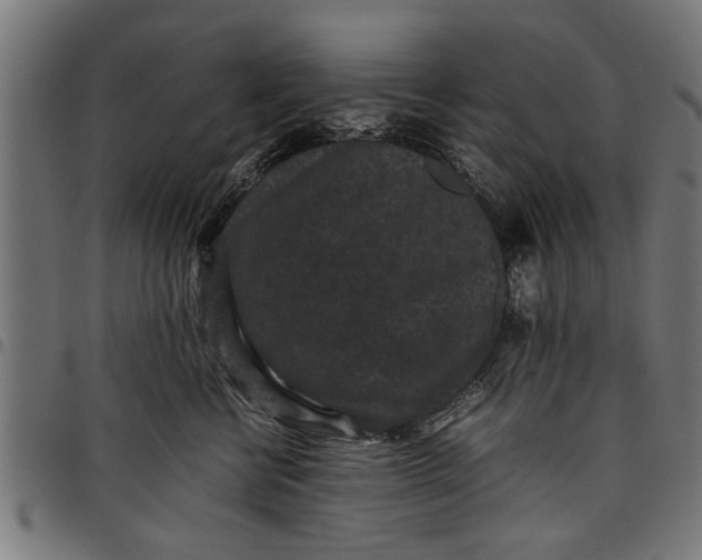 X0000097800570200803281038