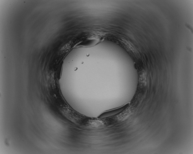 X0000097800572200803281038