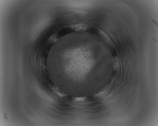 X0000097800573200803281038