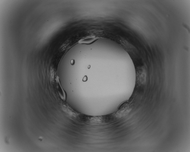 X0000097800574200803281038