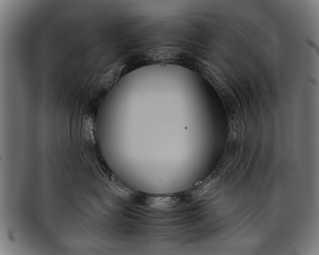 X0000097800575200803281038