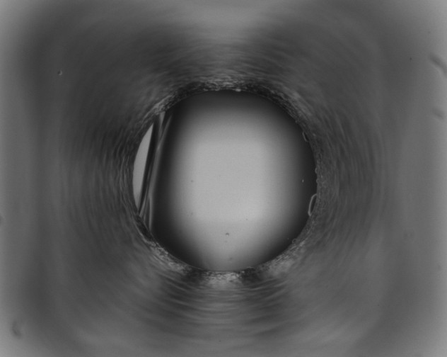 X0000097800576200803281038