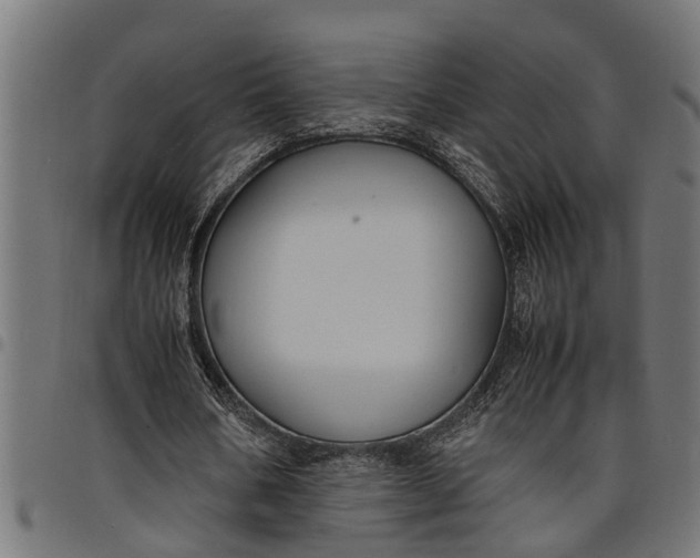 X0000097800578200803281037