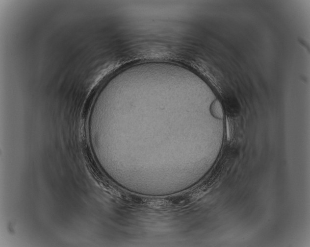 X0000097800579200803281037