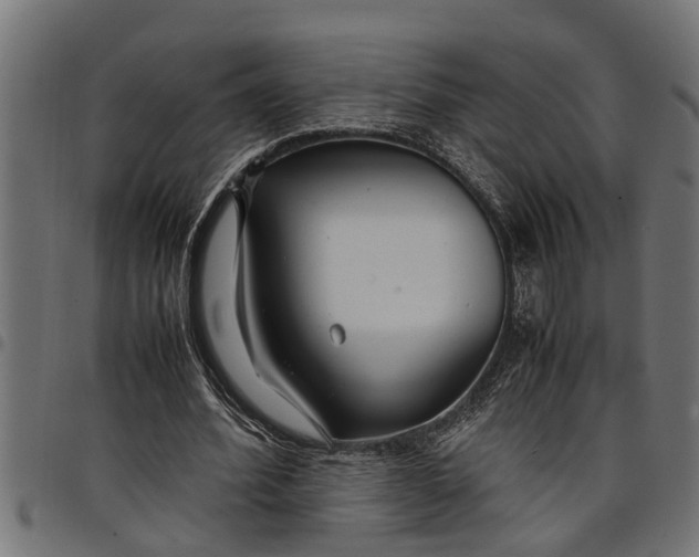 X0000097800580200803281037