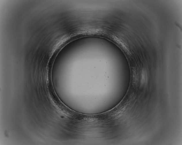 X0000097800582200803281037