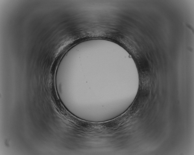 X0000097800583200803281037