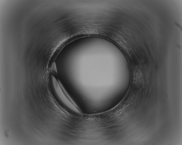 X0000097800584200803281037