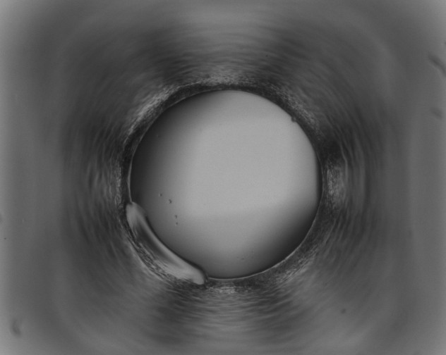 X0000097800588200803281037