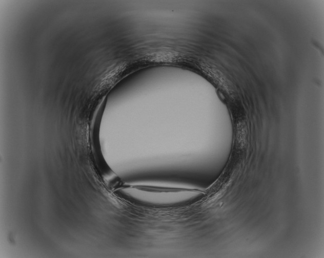 X0000097800589200803281037