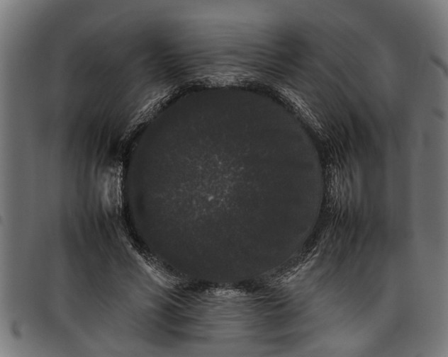 X0000097800590200803281037