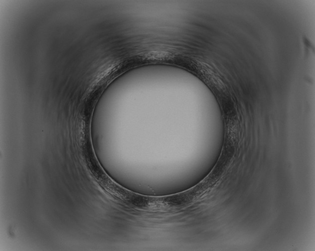 X0000097800591200803281037