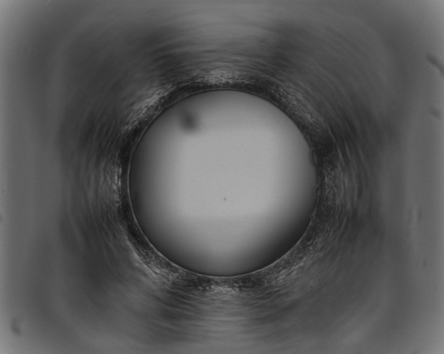 X0000097800592200803281037