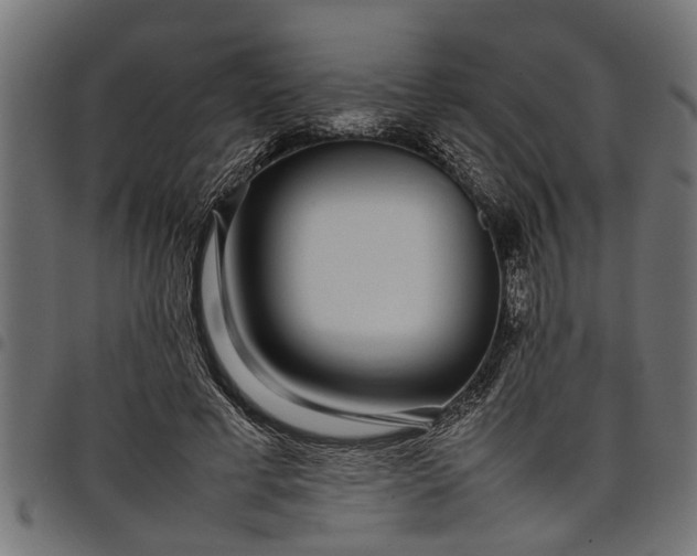 X0000097800593200803281037