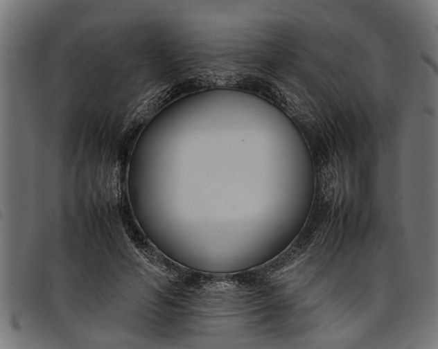 X0000097800594200803281037