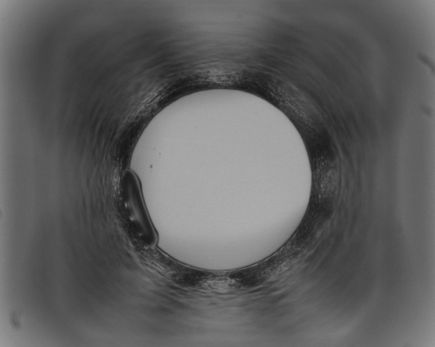 X0000097800595200803281037