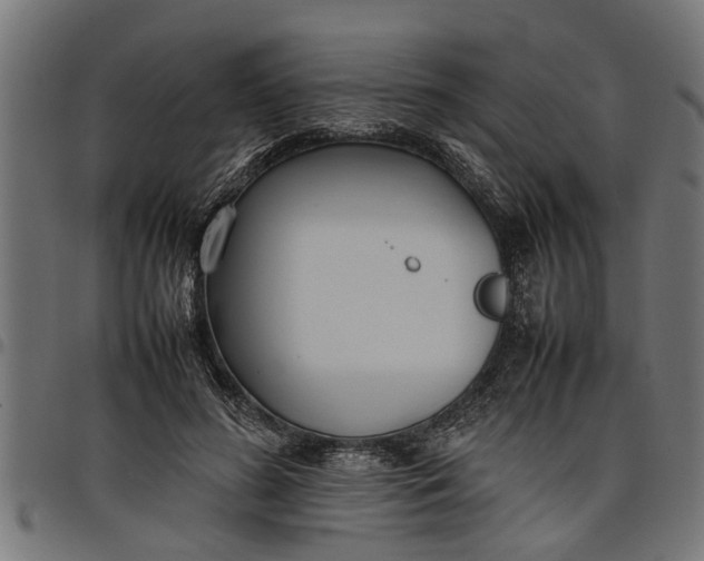 X0000097800596200803281037