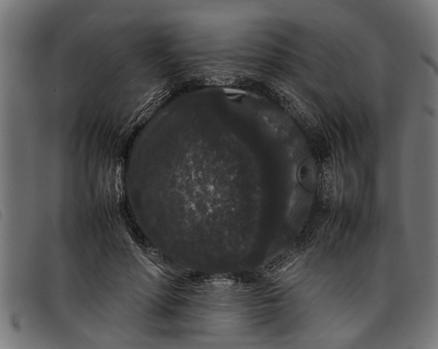 X0000097800598200803281037