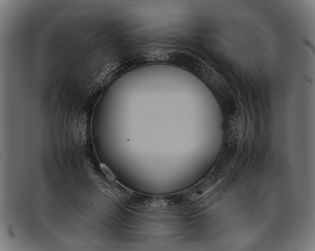 X0000097800600200803281037