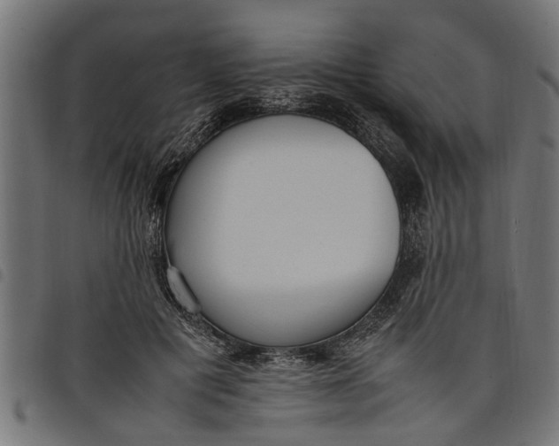 X0000097800601200803281037