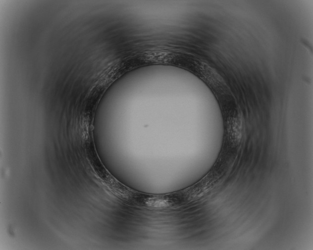 X0000097800602200803281037