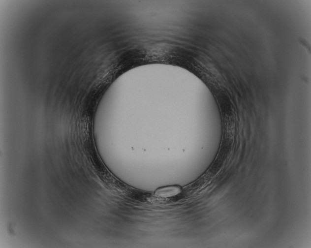 X0000097800603200803281037