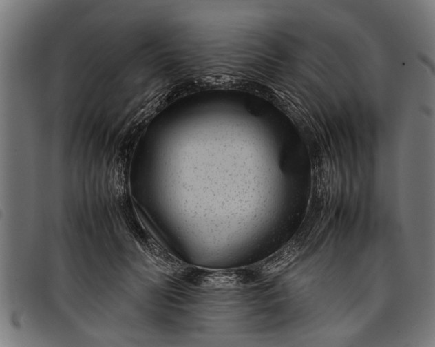 X0000097800606200803281037