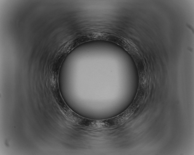 X0000097800607200803281037