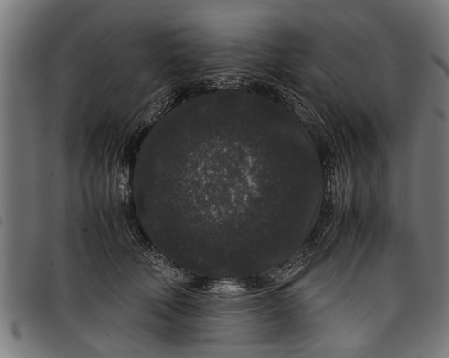 X0000097800610200803281037