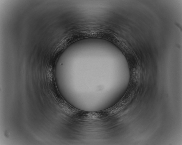 X0000097800612200803281037