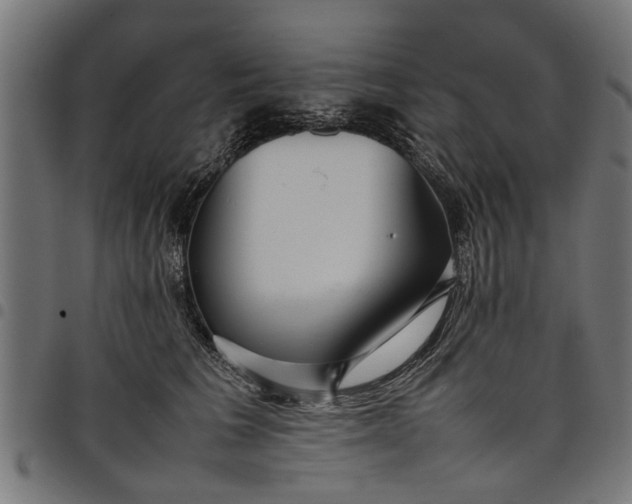 X0000097800613200803281037