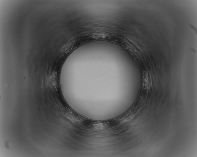 X0000097800616200803281037