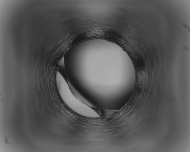 X0000097800617200803281037