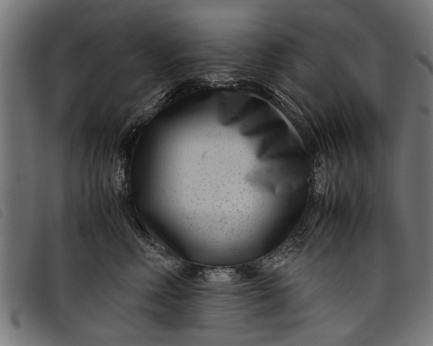 X0000097800618200803281037