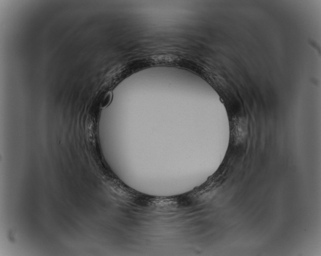 X0000097800619200803281036