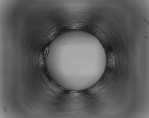 X0000097800620200803281036