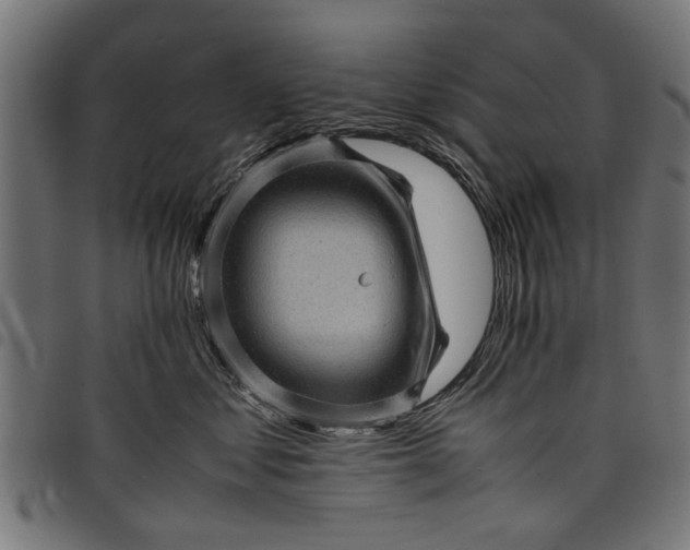 X0000097800621200803281036