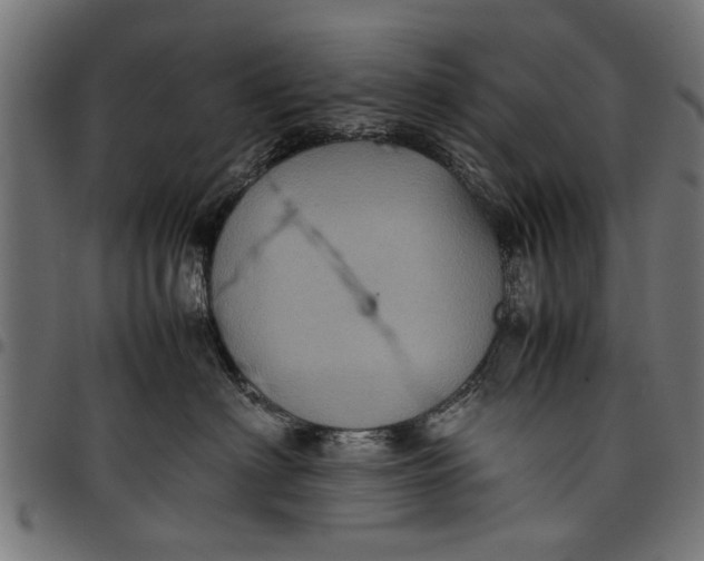 X0000097800622200803281036