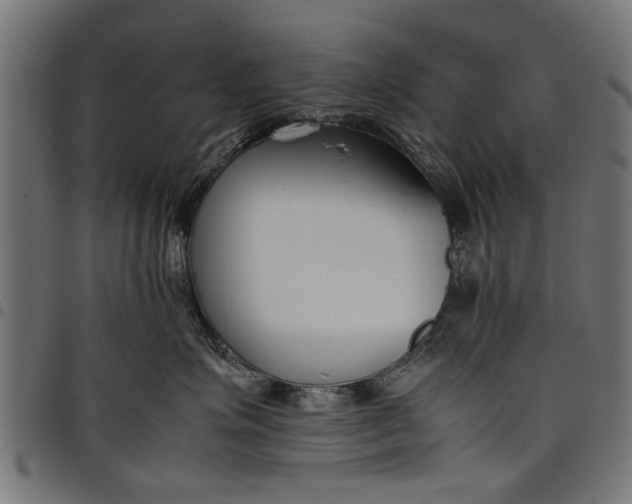 X0000097800623200803281036