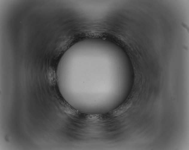 X0000097800624200803281036