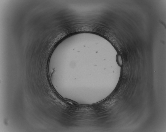 X0000097800625200803281036