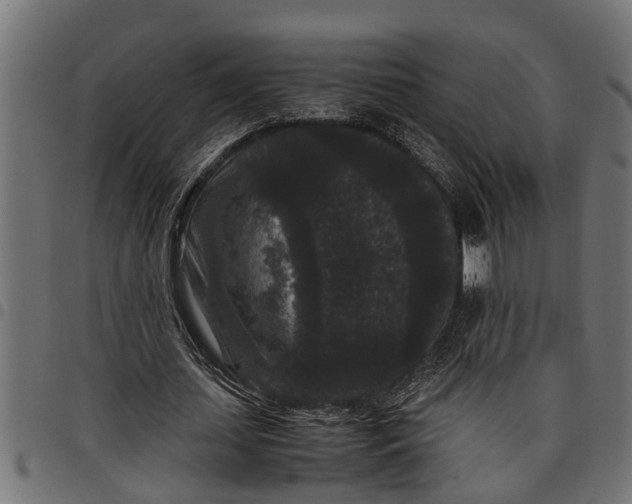 X0000097800627200803281036