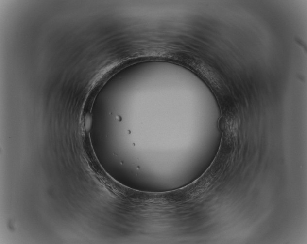 X0000097800628200803281036