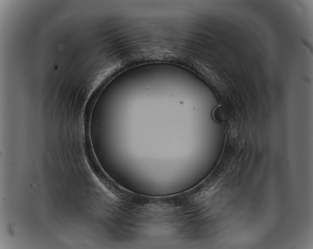 X0000097800630200803281036