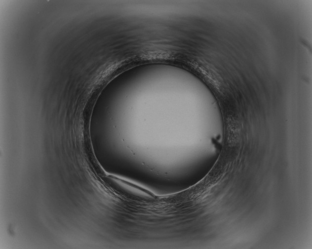 X0000097800631200803281036