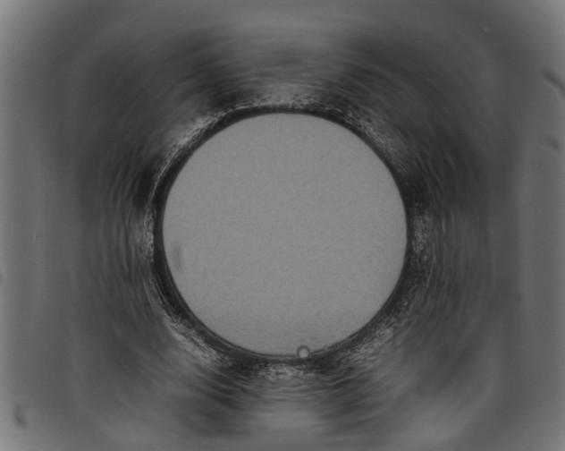 X0000097800632200803281036