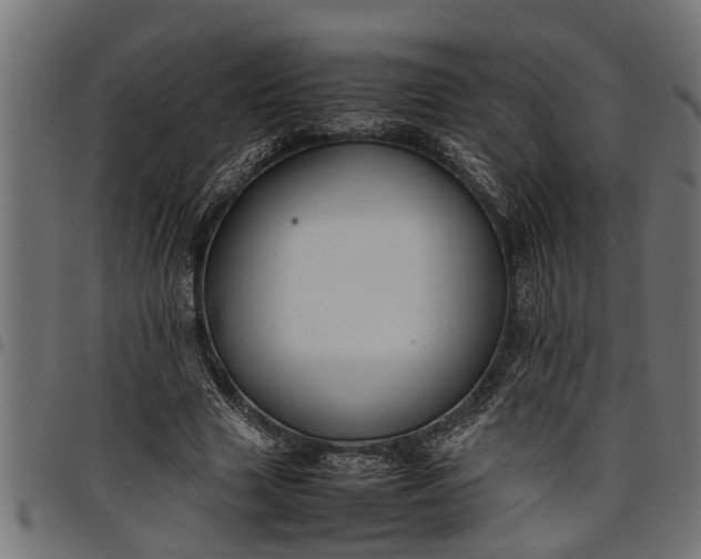 X0000097800633200803281036