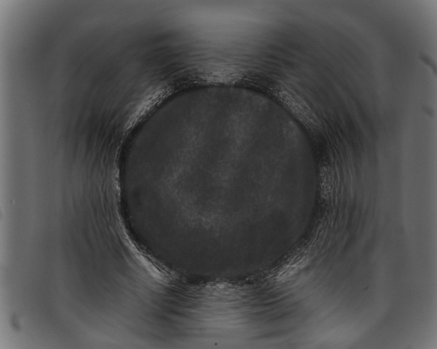 X0000097800634200803281036