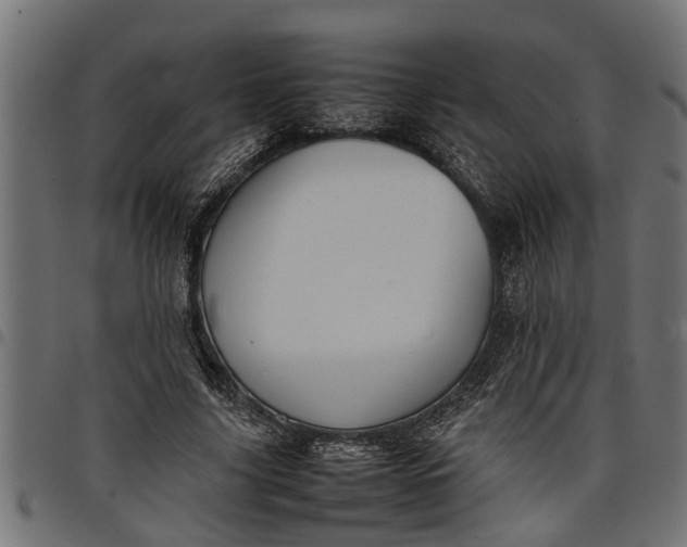 X0000097800635200803281036